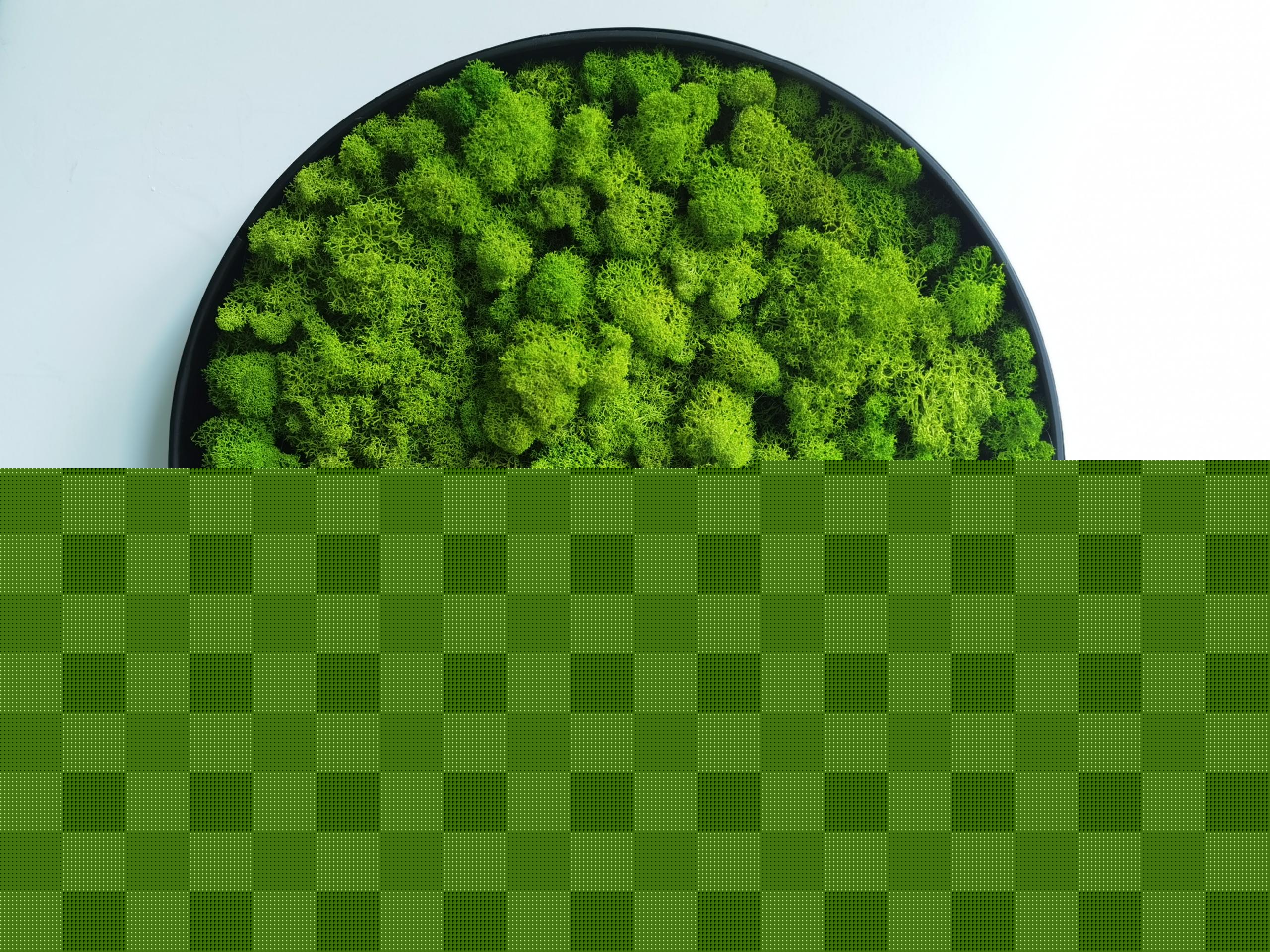 1634267716817078.jpg 6f546a406800dc2818fbffce41063aa5.jpg